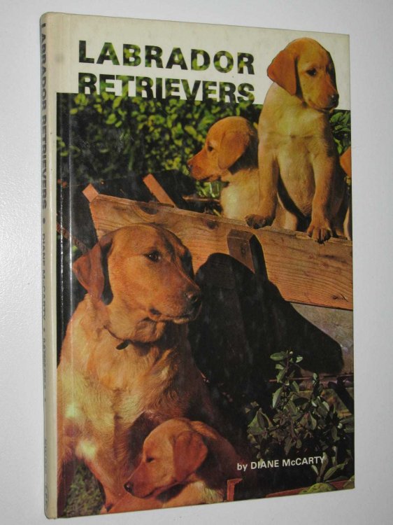 Labrador Retrievers