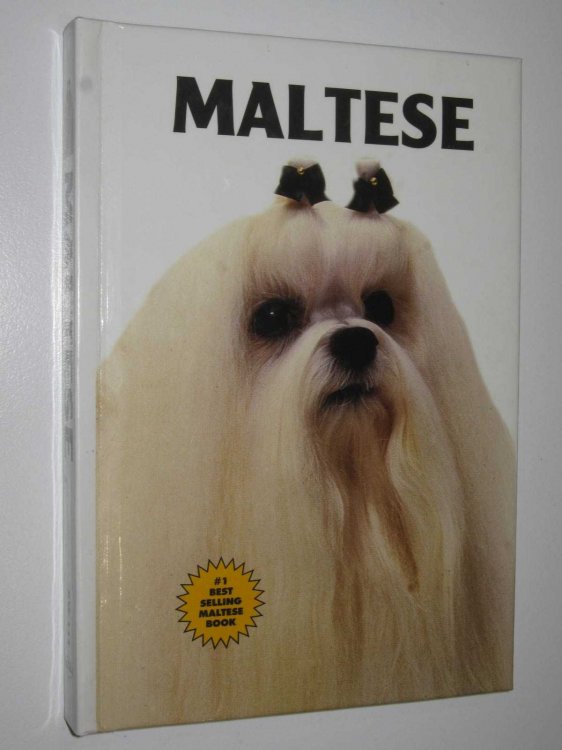 Maltese