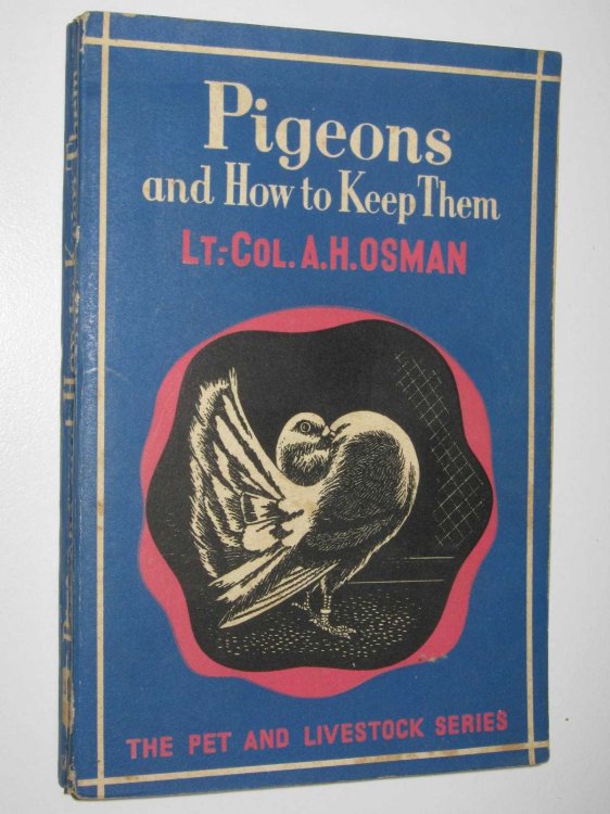 Pigeons and How to Keep Them