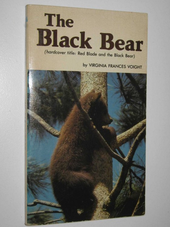 The Black Bear
