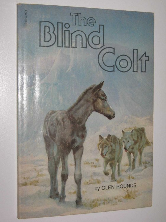 The Blind Colt