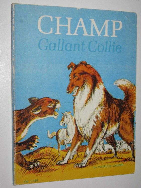 Champ, Gallant Collie