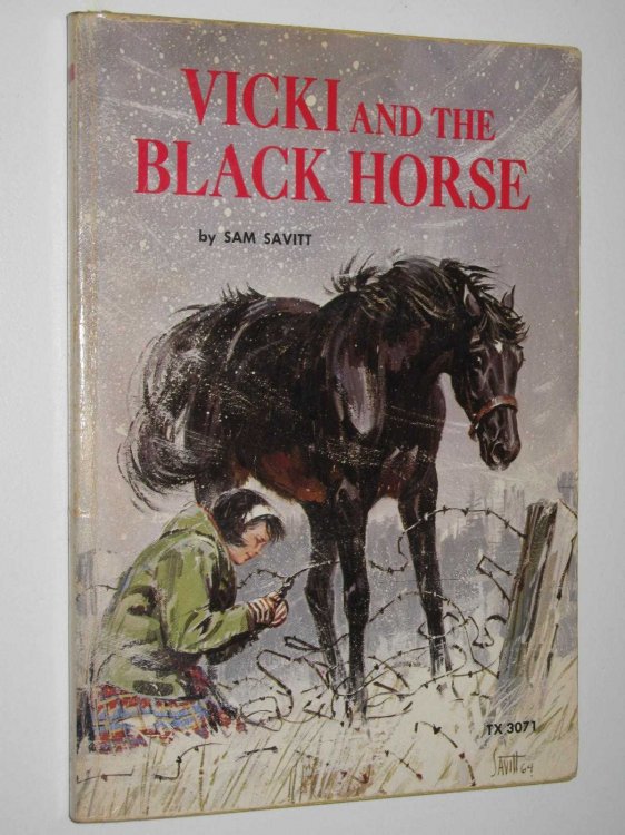 Vicki and the Black Horse