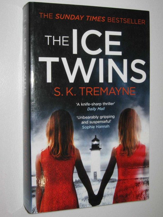 The Ice Twins