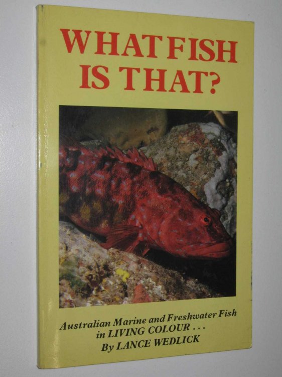 What Fish Is That