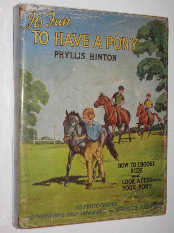 It's Fun To Have A Pony