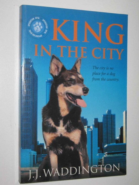 King in the City