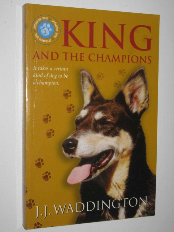 King And The Champions