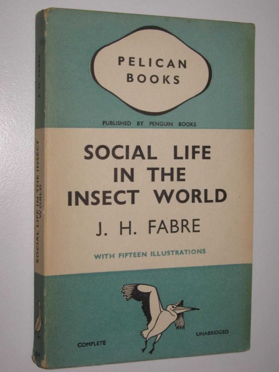 Social Life in the Insect World
