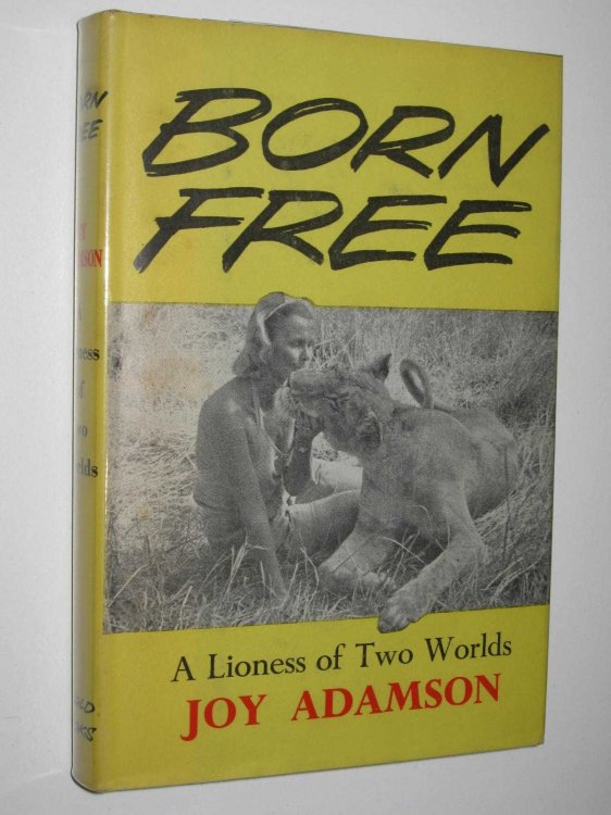 Born Free : A Lioness of Two Worlds
