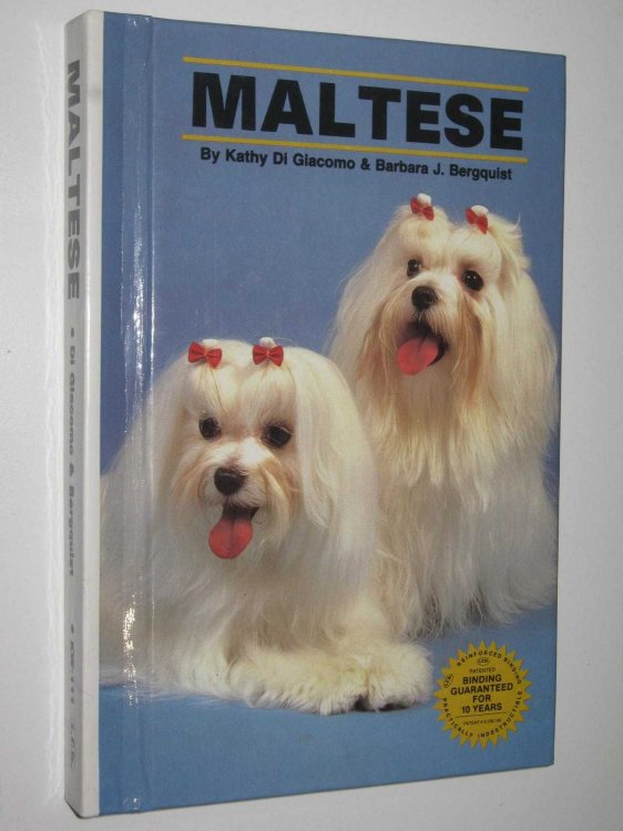 Maltese