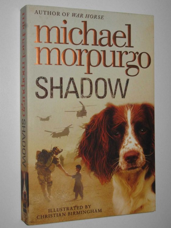 Shadow