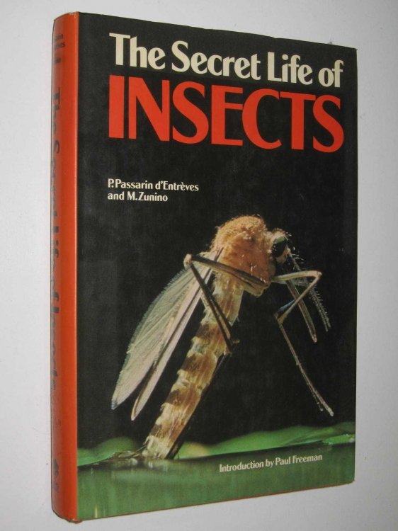 The Secret Life of Insects
