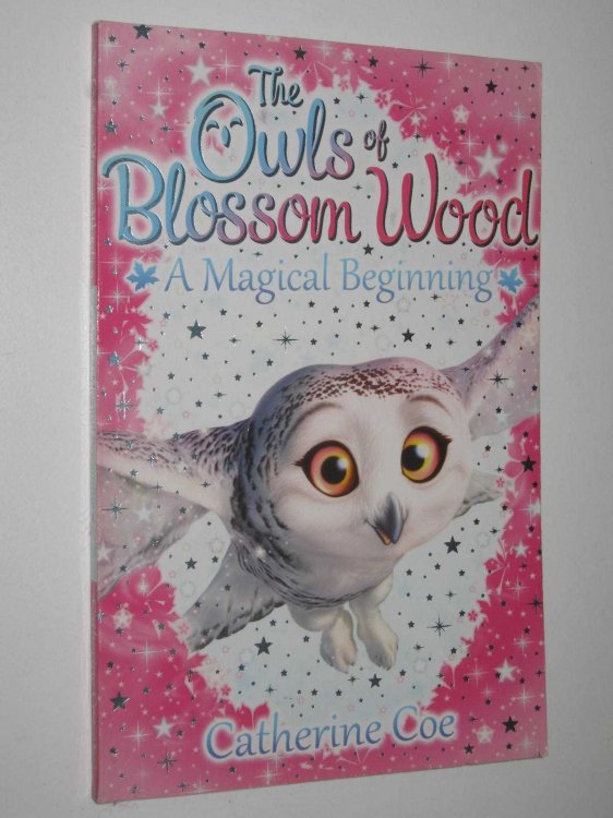 A Magical Beginning - Owls Of Blossom Wood Series