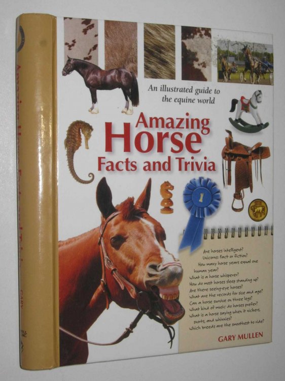 Amazing Horse Facts And Trivia