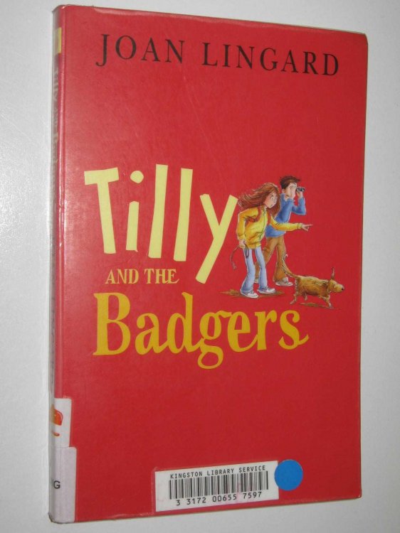 Tilly And The Badgers
