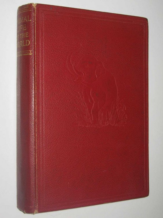 Animal Life Of The World
