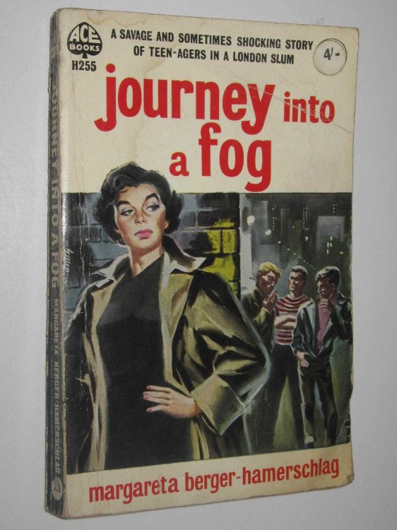 Journey Into a Fog