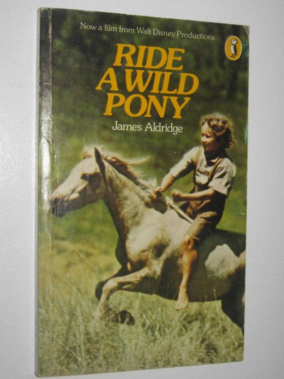 Ride a Wild Pony
