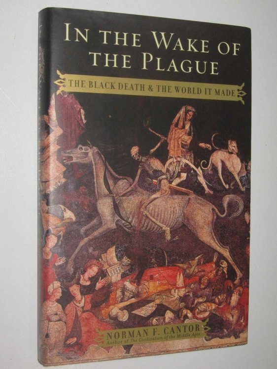 In the Wake of the Plague : The Black Death and the World It Made