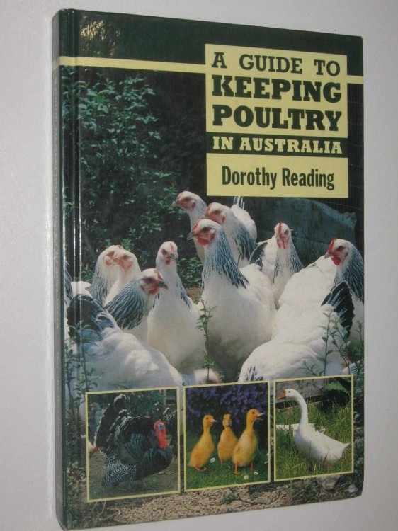 A Guide to Keeping Poultry in Australia