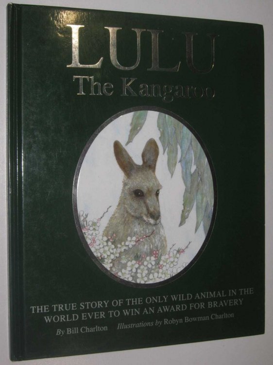 Lulu the Kangaroo