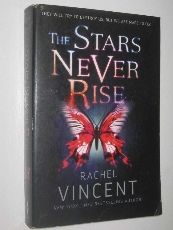 The Stars Never Rise - Stars Never Rise Series #1