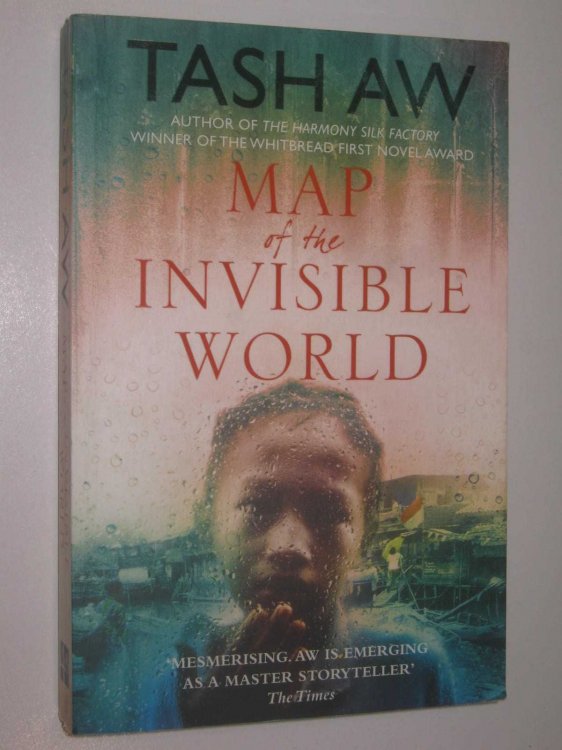 Map of the Invisible World