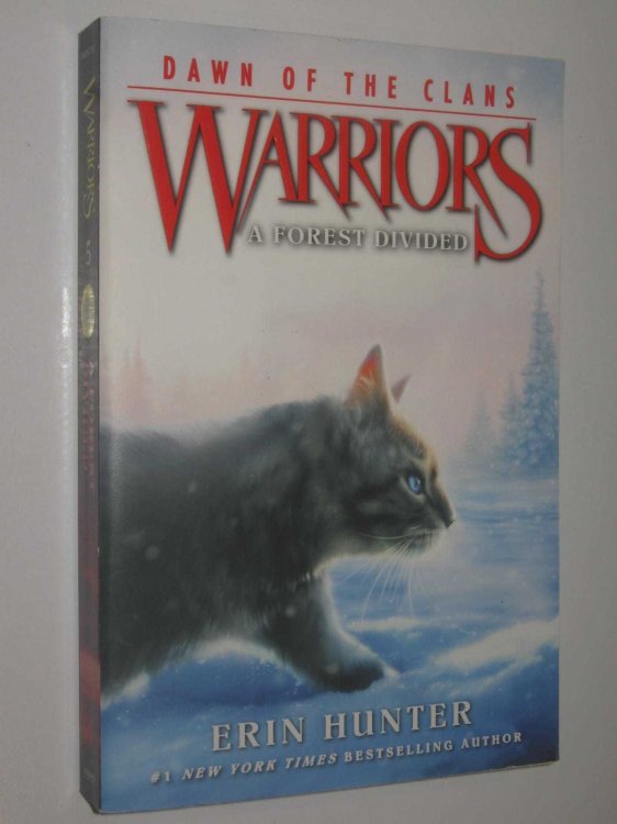 A Forest Divided - Warriors: Dawn of the Clans #5