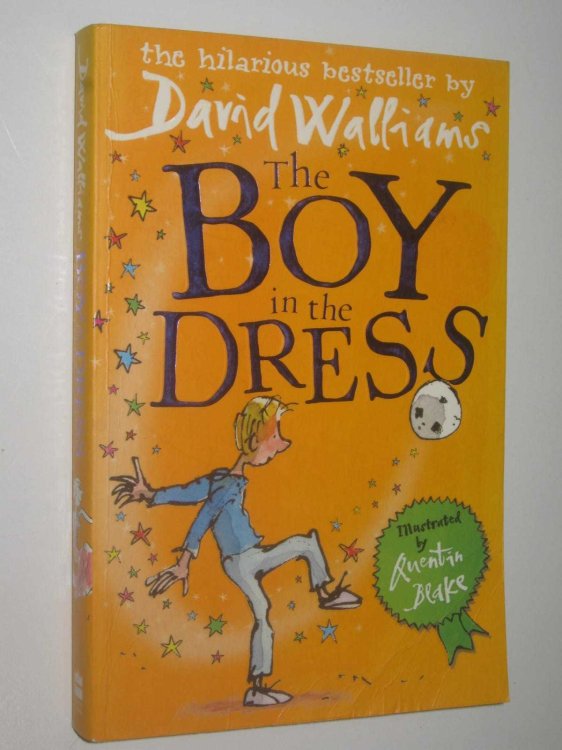 The Boy in the Dress
