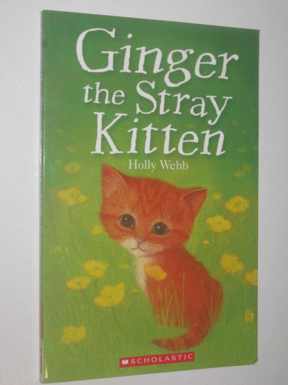Ginger the Stray Kitten - Animal Stories Series #14
