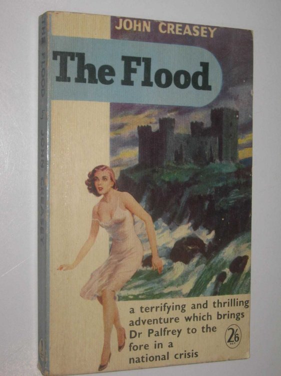 The Flood - Dr Palfrey Series #19