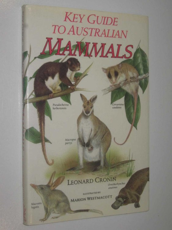 Key Guide to Australian Mammals