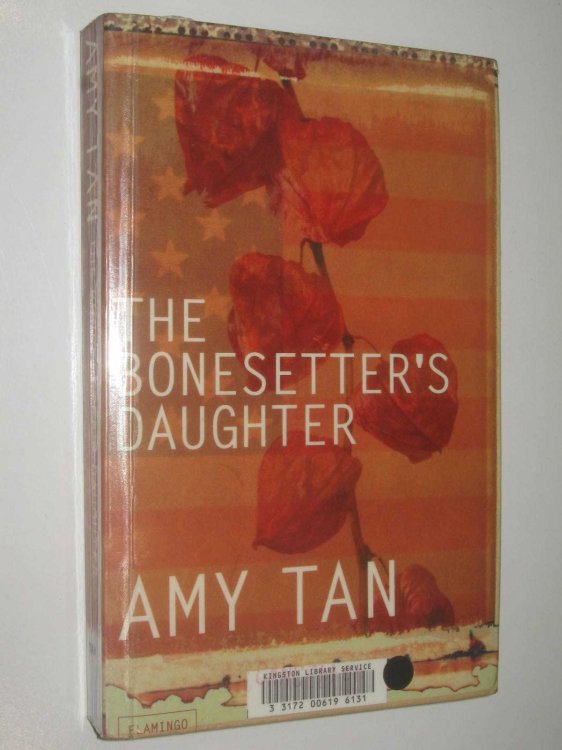 The Bonesetter's Daughter