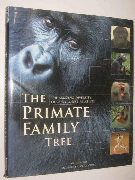 The Primate Family Tree