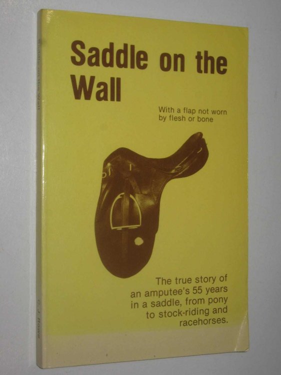 Saddle on the Wall