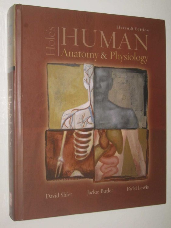 Hole's Human Anatomy and Physiology