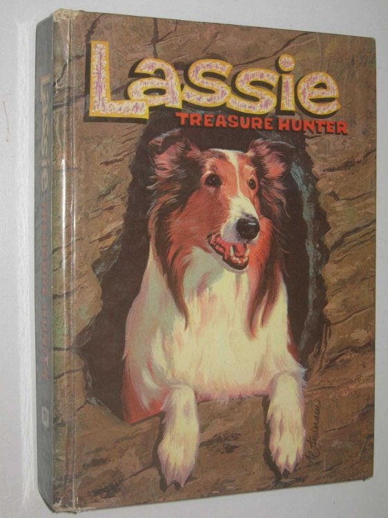 Lassie: Treasure Hunter