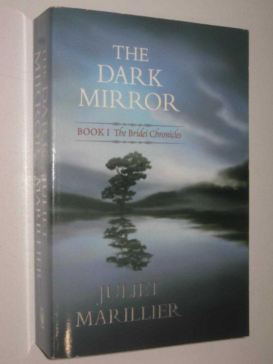 The Dark Mirror - The Bridei Chronicles #1