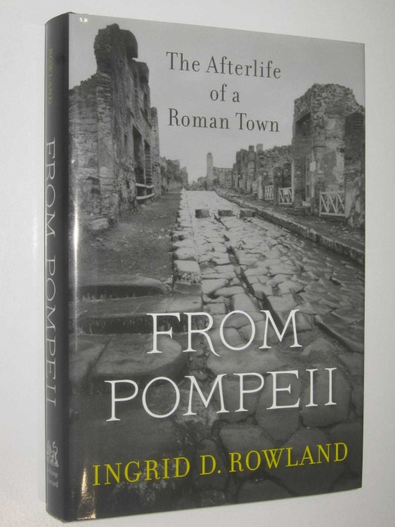 From Pompeii : The Afterlife of a Roman Town