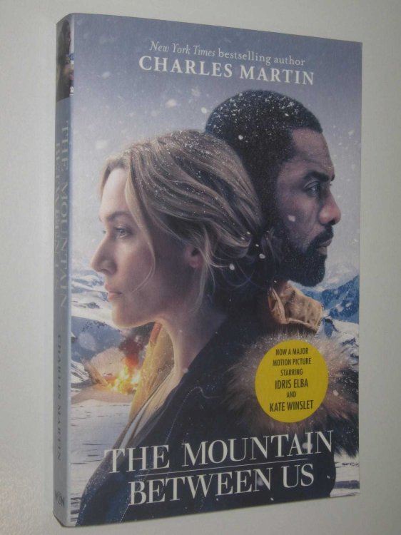 The Mountain Between Us