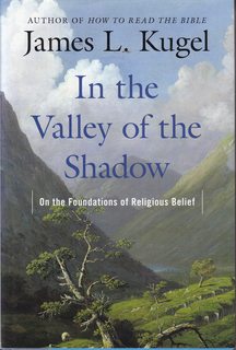 In the Valley of the Shadow: On the Foundations of Religious Belief