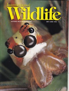 International Wildlife Magazine Vol. 25 No. 3 May/June 1995