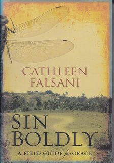 Sin Boldly: A Field Guide for Grace