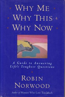 Why Me, Why This, Why Now: A Guide to Answering Life's Toughest Questions