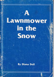 A Lawnmower In The Snow