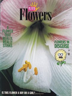 Kids Discover Flowers, April 1995 (Kids Discover Magazine, Volume 5, Issue 4)