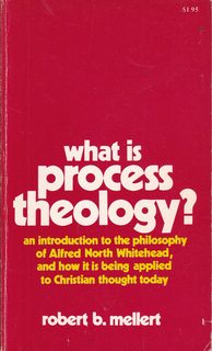 What is process theology (Deus books)