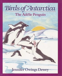 Birds of Antarctica: The Adelie Penguin