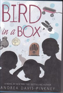 Bird in a Box